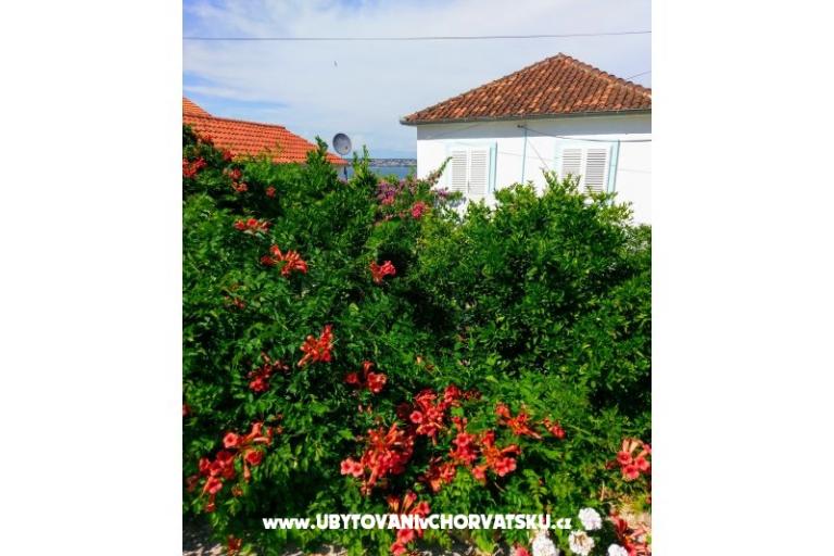 Apartmaji Marija-Tkon – foto 12