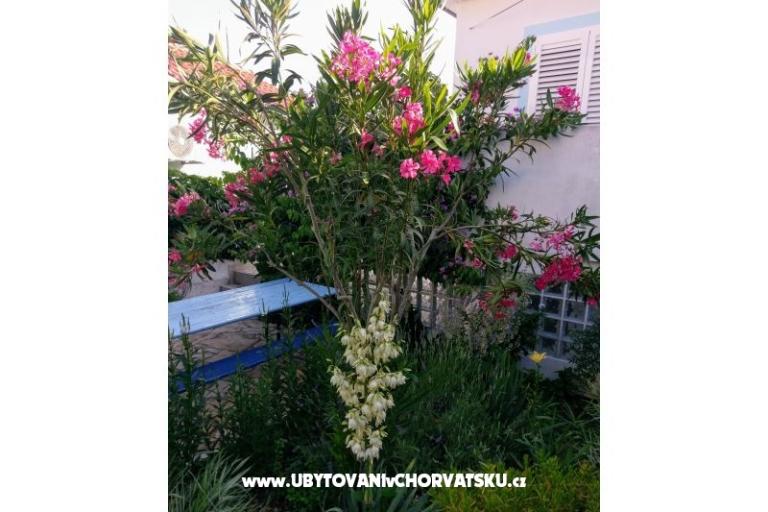 Apartmaji Marija-Tkon – foto 3