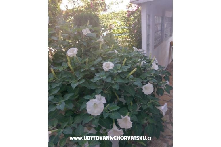 Apartmaji Marija-Tkon – foto 6