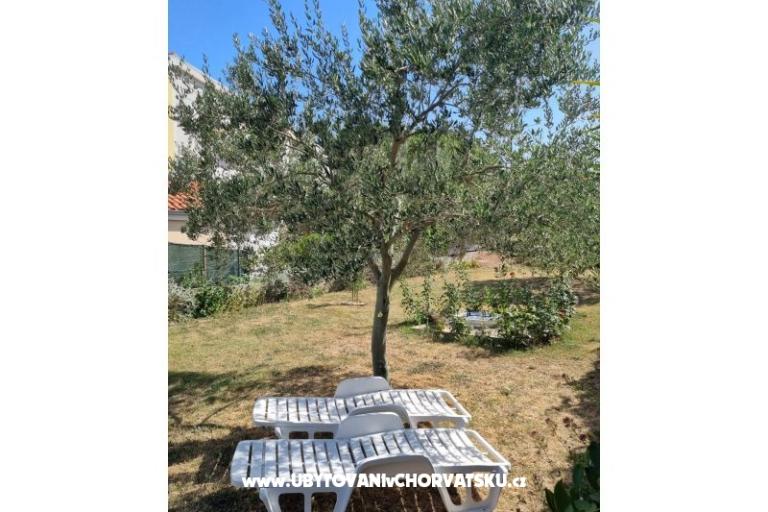 Apartmaji Lokva – foto 14