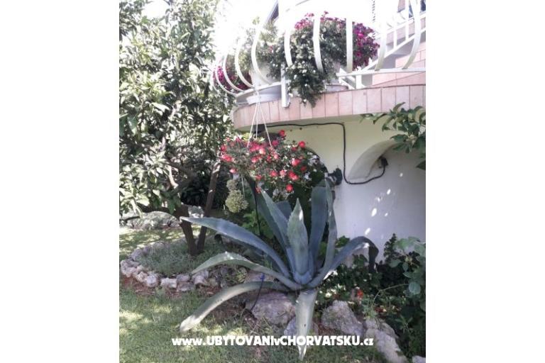 Apartmaji Lokva – foto 4