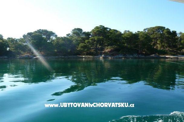 Apartmaji na moru – foto 7