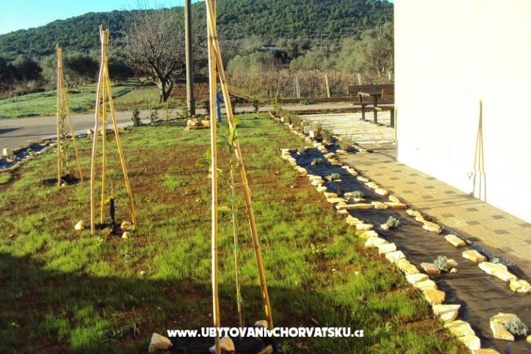 Apartmaji Pašman – foto 16