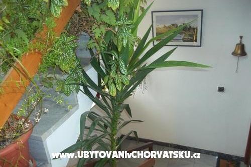Apartmaji Dragica Pedisic – foto 9