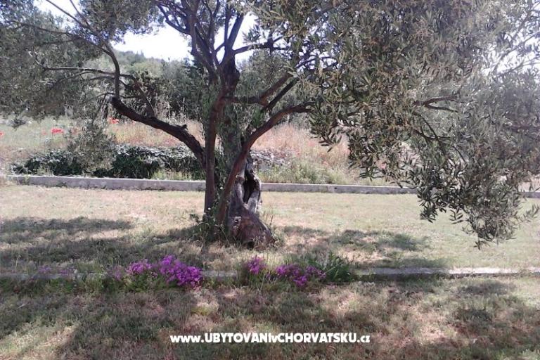 Apartmaji Villa Banjka – foto 17