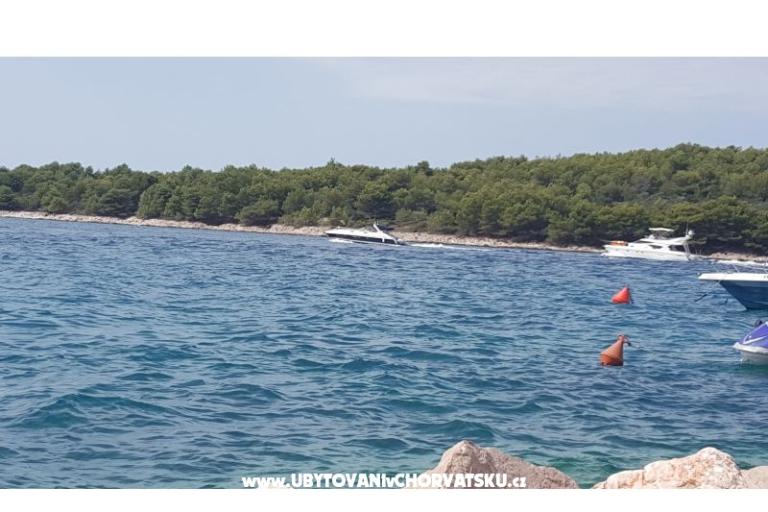 Apartmaji Ždrelac – foto 4