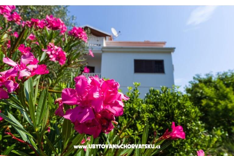 Apartmaji Ivanka – foto 4
