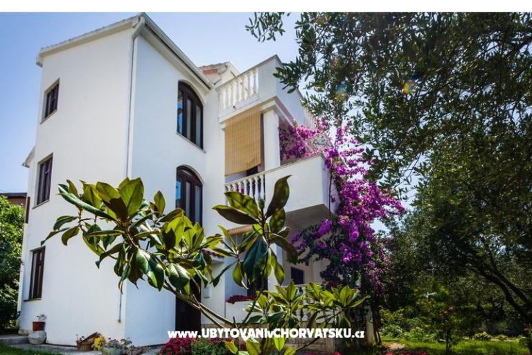 Apartmaji Ivanka – foto 5