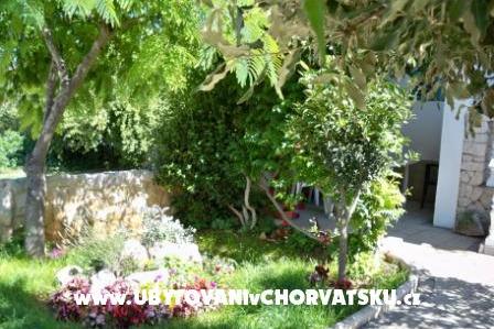 Apartmaji Petra – foto 6