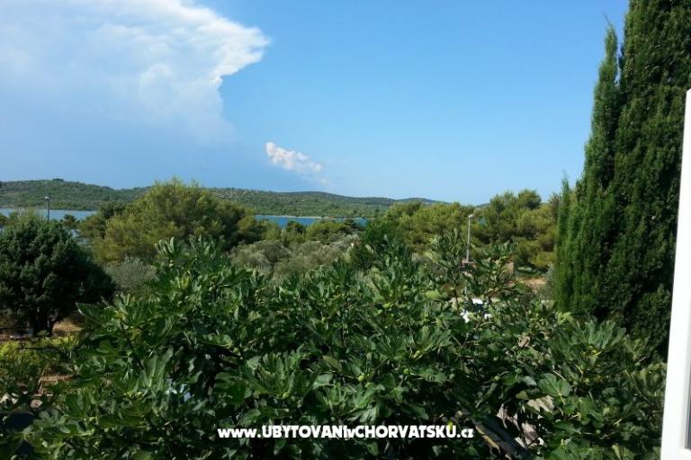 Apartma Ruža – foto 11