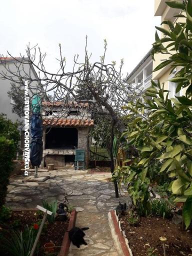 Apartmaji Erak – foto 6