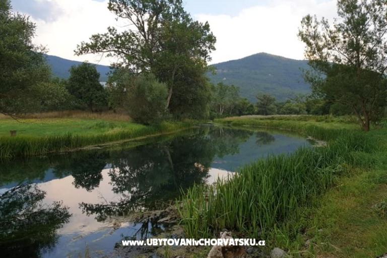 Apartmaji Paradiso – foto 10