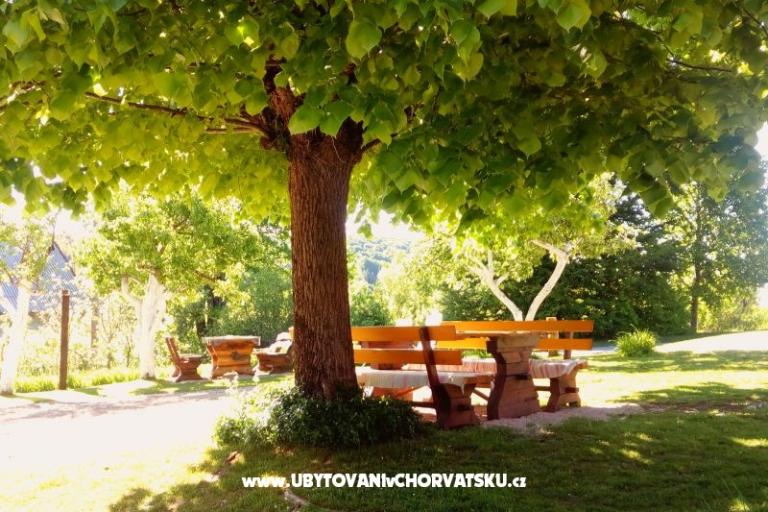 Guest Hiša Lipov Hlad – foto 5