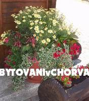 Hiša Spoljaric – foto 7