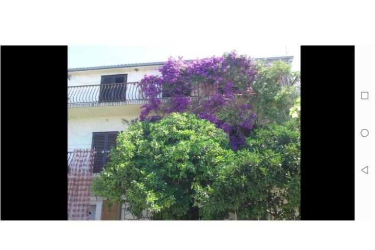 Apartmaji Raos – foto 18