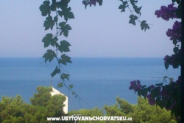 Apartmaji Antonela Drašnice – foto 8