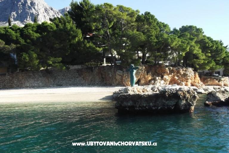Apartmaji Zubac – foto 10