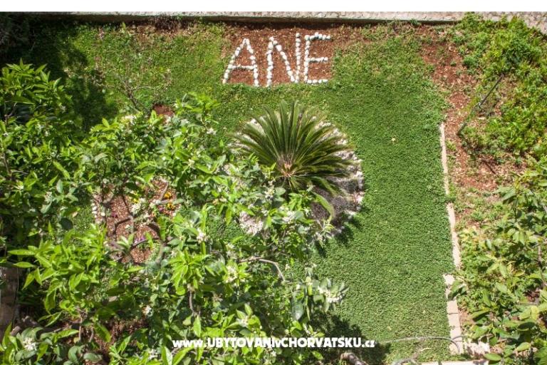 Apartmaji Ane – foto 8