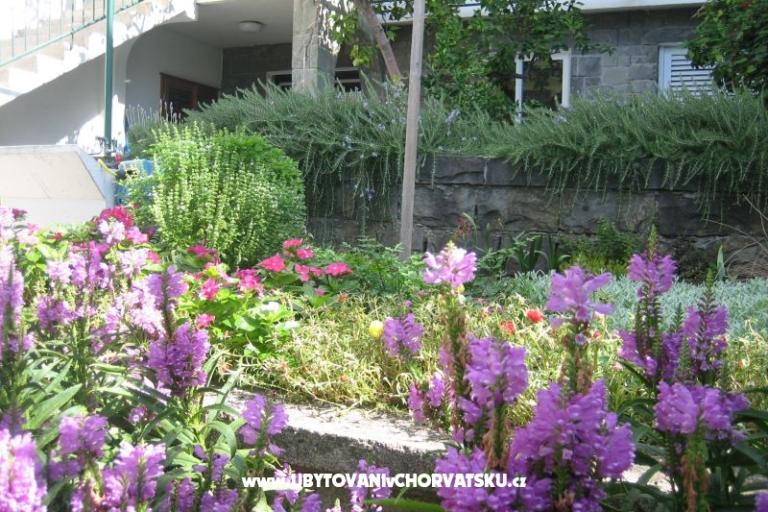 Apartmaji Draga – foto 3