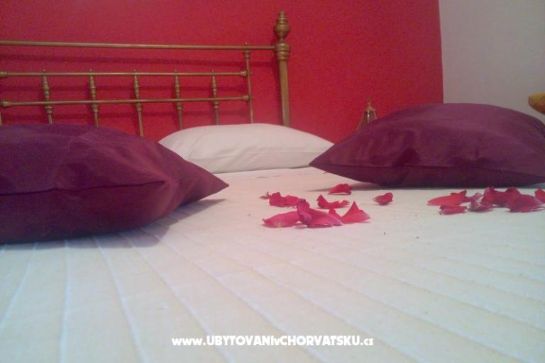 Apartma Karla – foto 15