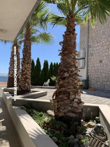 Apartmaji Botuš – foto 3