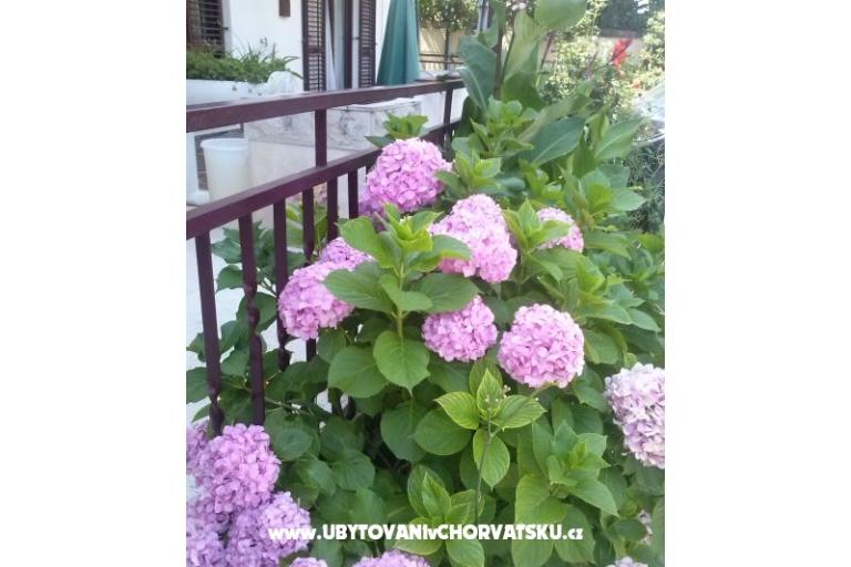 Apartmaji Dana – foto 11