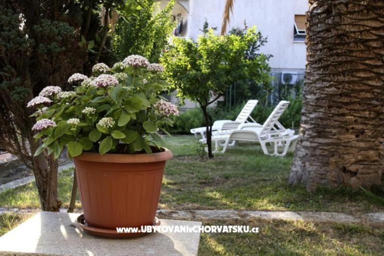 Apartmaji Domeniko – foto 7