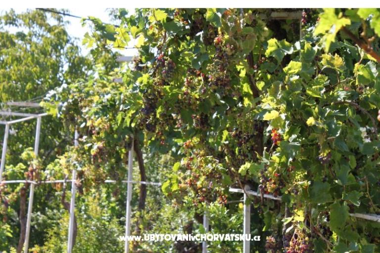 Apartmaji Jasna – foto 17