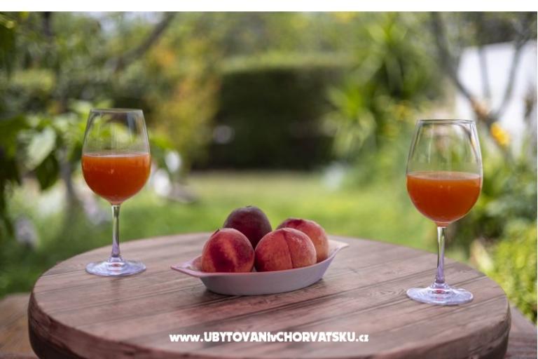 Apartmaji Jakovac – foto 7