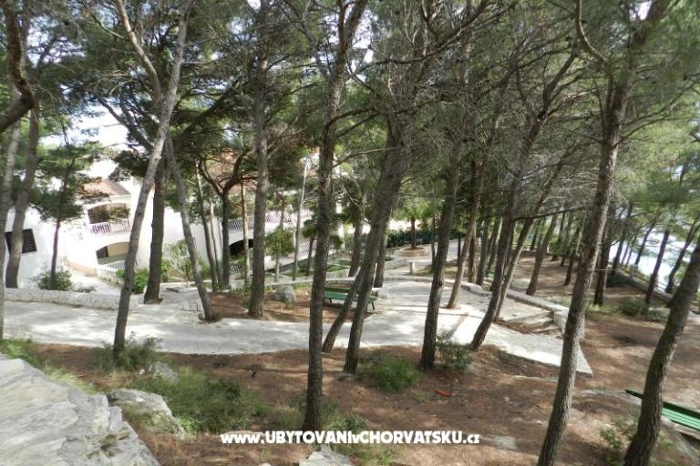 Apartmaji Lavica – foto 6