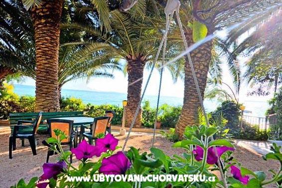 Apartmaji Palme – foto 9