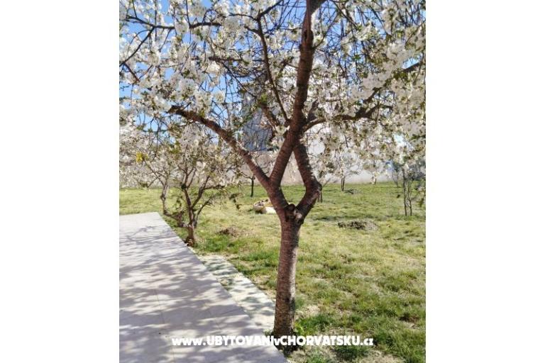 Apartmaji Renić – foto 13