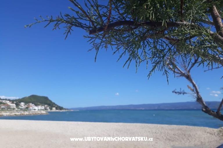 Apartmaji Renić – foto 17