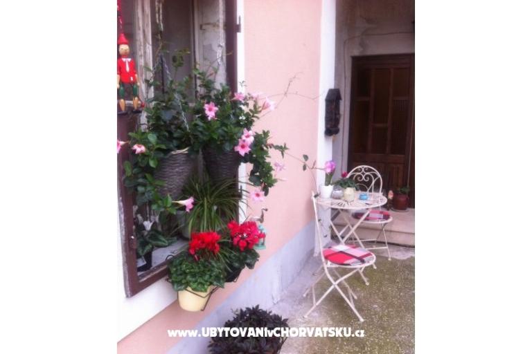 Apartmaji SARA – foto 12