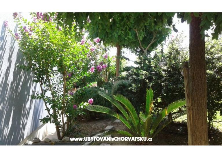 Villa Gina – foto 5