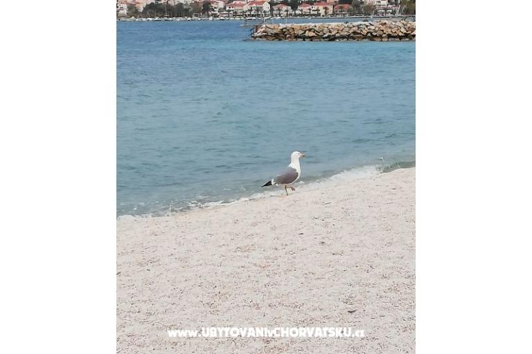 Apartmaji Plave oči  – foto 6