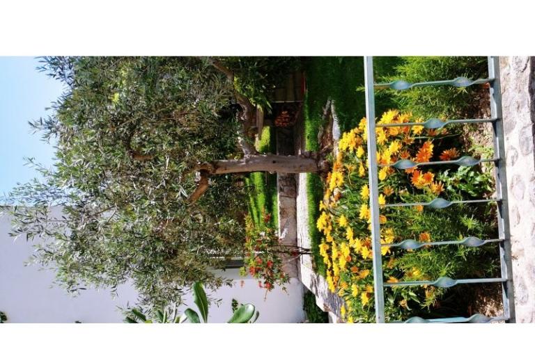 Apartmaji Mršić – foto 6