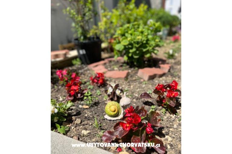 Apartma lux with garden – foto 18