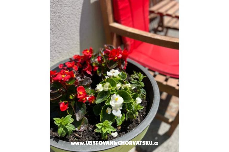 Apartma lux with garden – foto 20