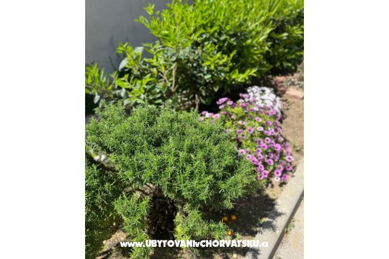 Apartma lux with garden – foto 24