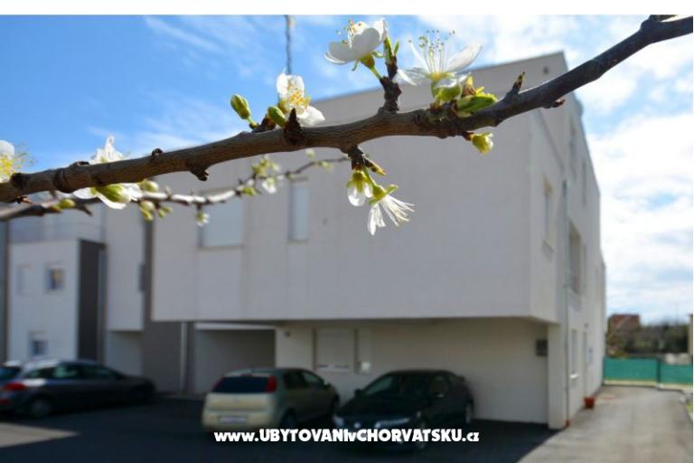 Apartma lux with garden – foto 26