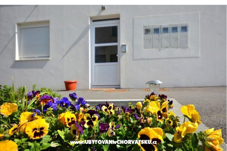 Apartma lux with garden – foto 28