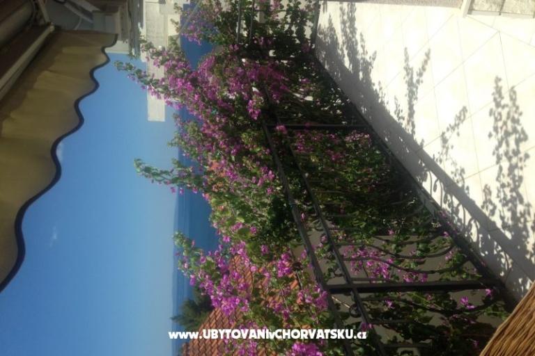 Apartma Gusic – foto 12