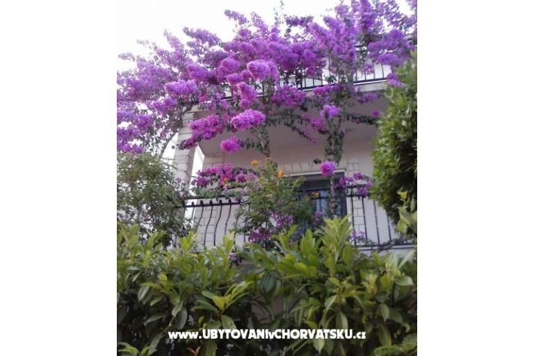 Apartma Gusic – foto 8