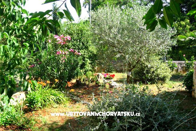 Apartma Nadia – foto 14