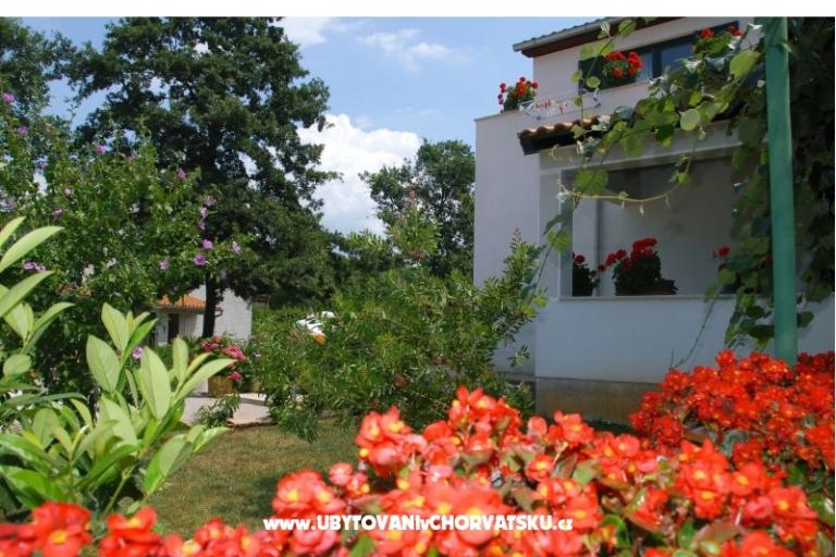 Apartmaji Bauk – foto 3
