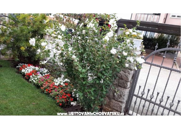 Apartmaji Dragica! – foto 24