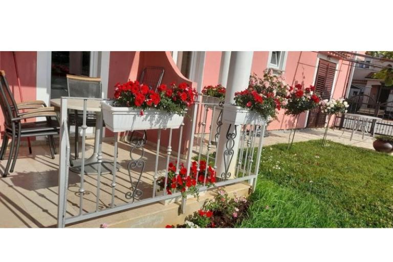 Apartmaji Dragica! – foto 26