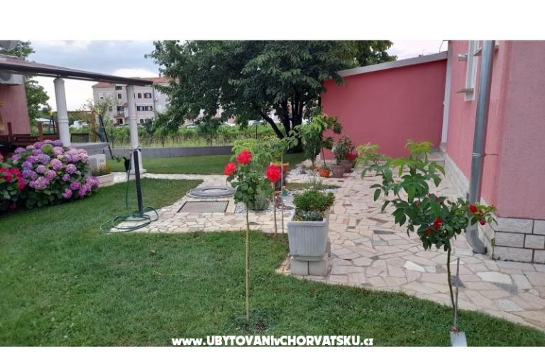 Apartmaji Dragica! – foto 4
