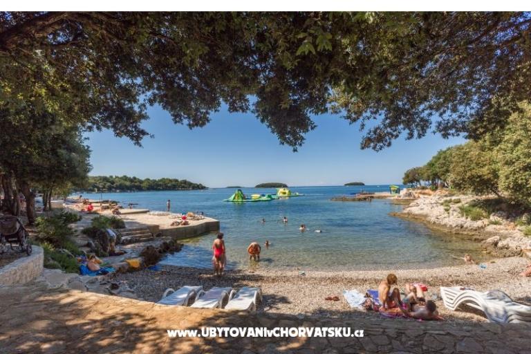Apartmaji Grujić – foto 8